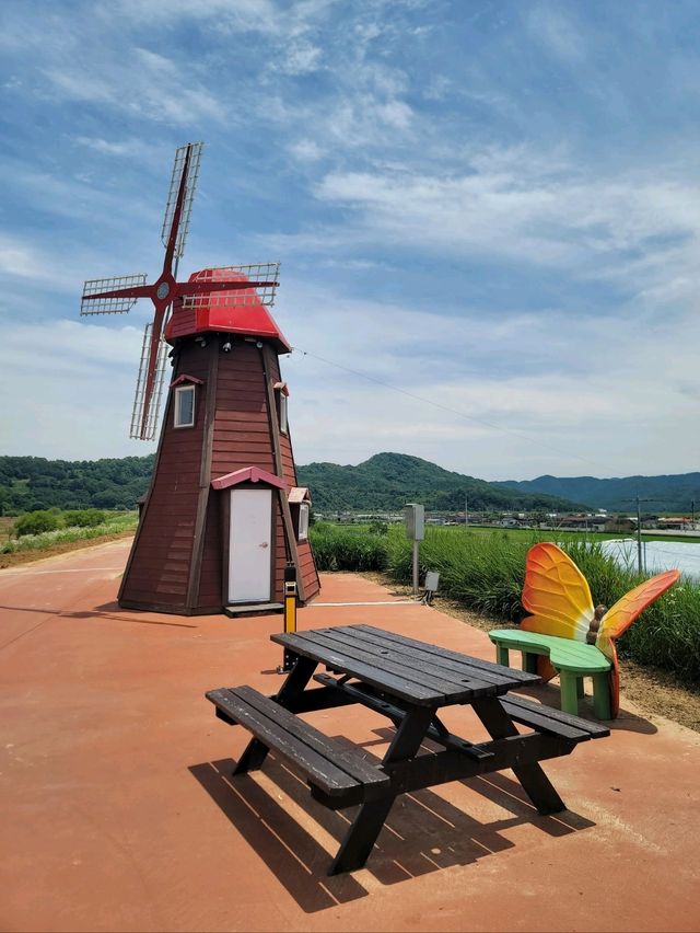 경비행기를 볼수 있는 함안 악양둑방길💚
