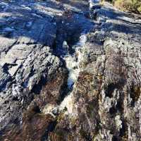 the best of Tassie