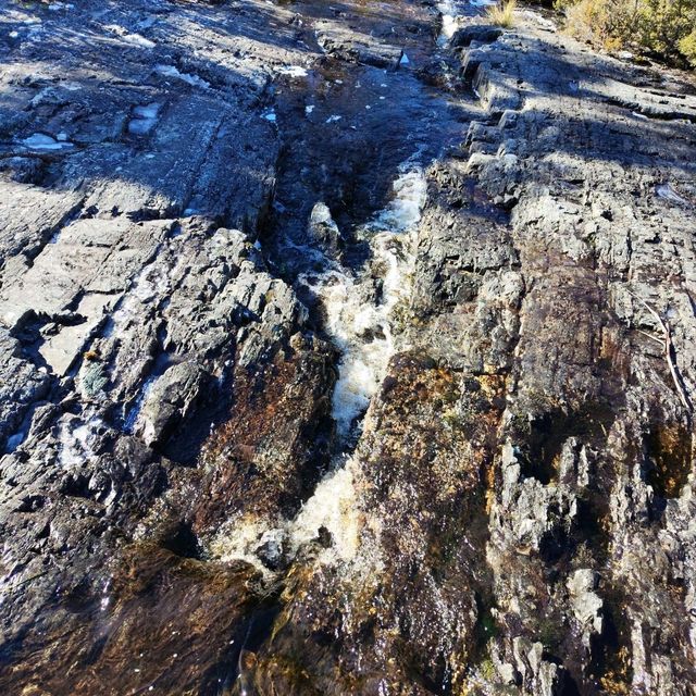 the best of Tassie