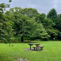 「百合之原公園」繽紛花海，心曠神怡