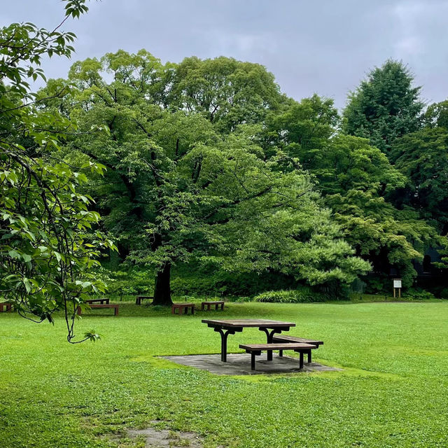 「百合之原公園」繽紛花海，心曠神怡