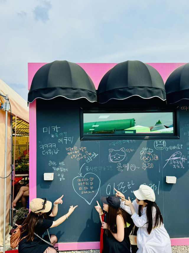韓国でカラフルなお花と青空を楽しもう！🌸🇰🇷