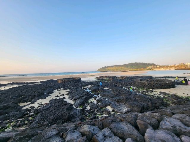 【濟州】犀牛峰海灘：春夏油菜花盛開，特色黑色火山岩灘。適合日落時分
