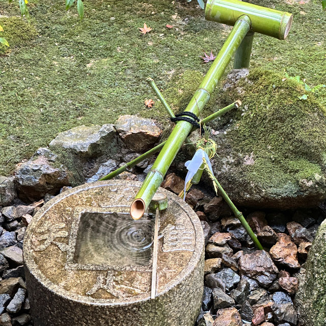 〜京都府〜一度は見よう！世界遺産龍安寺！アートな石庭！