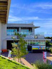 淡路島の無料お花スポット😊💐 兵庫県立公園あわじ花さじき💐😊