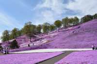 ひがしもこと芝桜公園