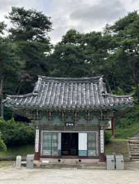 강가에 운치를 즐기시며 🏝️ 유유자적 쉴 수 있는 여주 신륵사 여름여행 💚