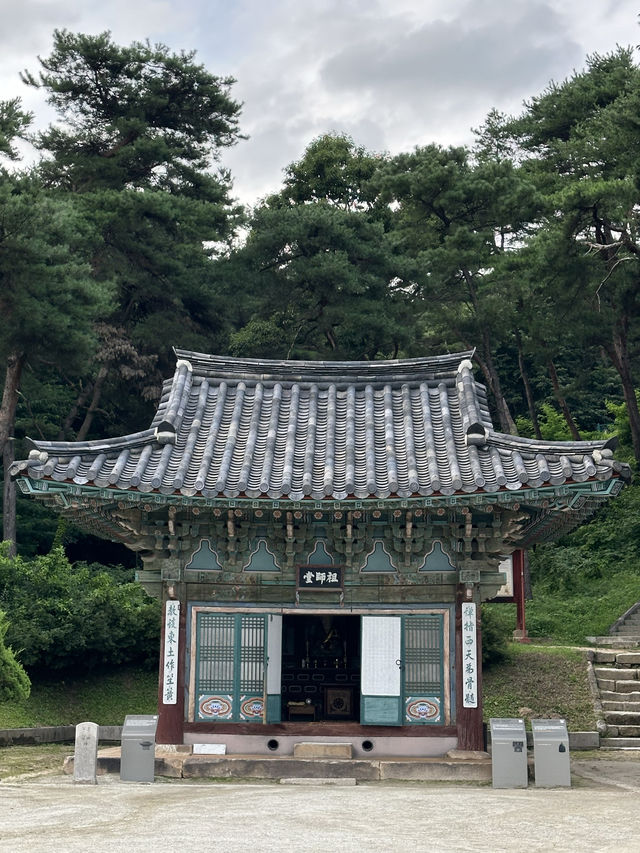 강가에 운치를 즐기시며 🏝️ 유유자적 쉴 수 있는 여주 신륵사 여름여행 💚