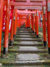 【鎌倉】佐助稲荷神社