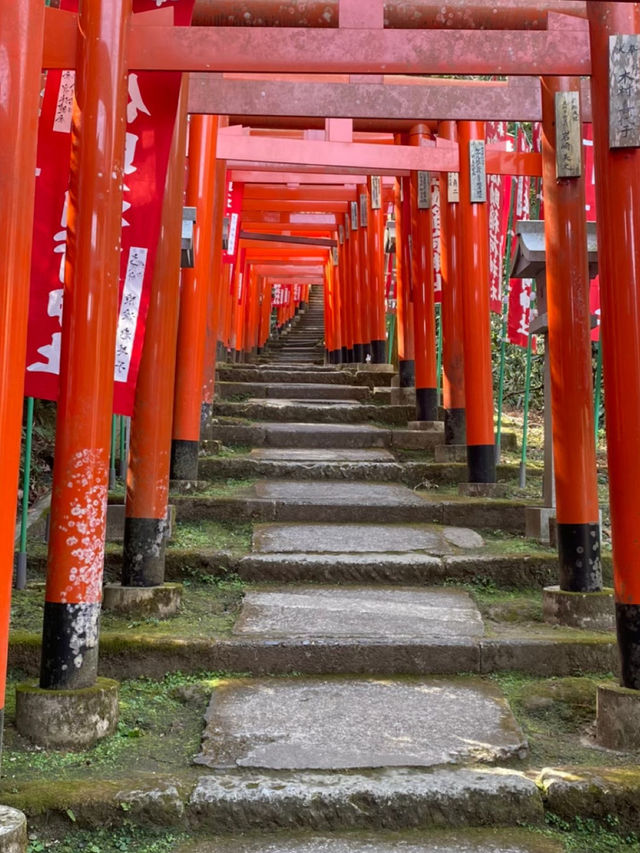 【鎌倉】佐助稲荷神社