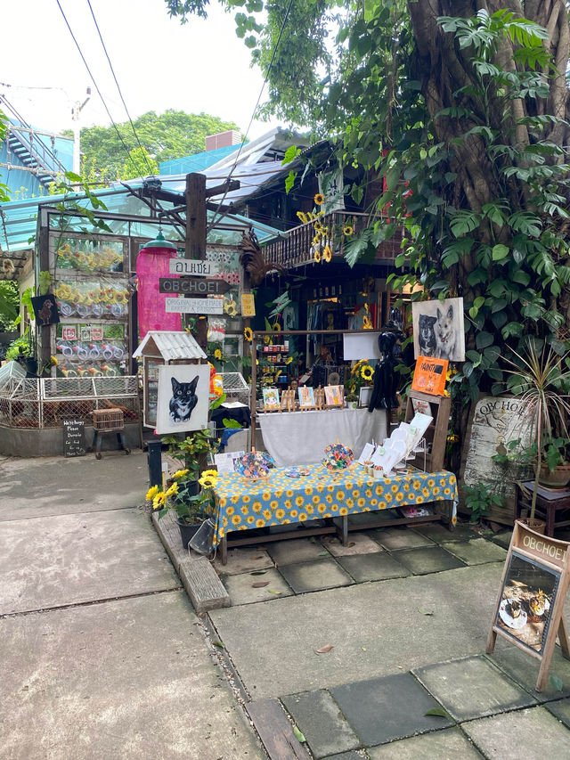 บ้านข้างวัด | เชียงใหม่ 🏡🎨🌿🥤