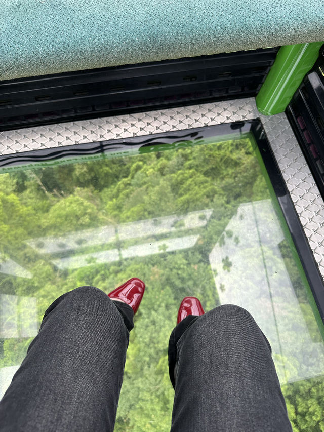 Sun Moon Lake Ropeway✨🤍