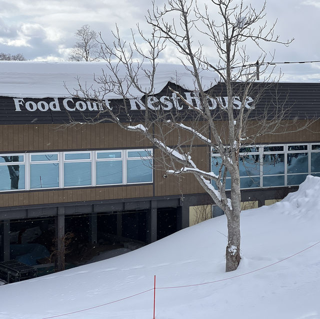 Niseko Japan ลานสกีที่โด่งดัง หิมะนุ่ม