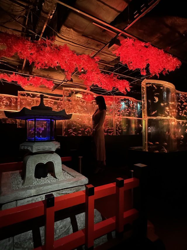〜東京都〜秋に行きたいアートスポット🎨