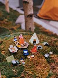 🇭🇰| 尖沙咀-⛺️露營燒肉體驗！