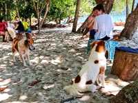หาดทรายขาว อช.ตะรุเตา