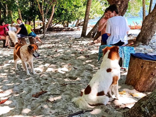 หาดทรายขาว อช.ตะรุเตา