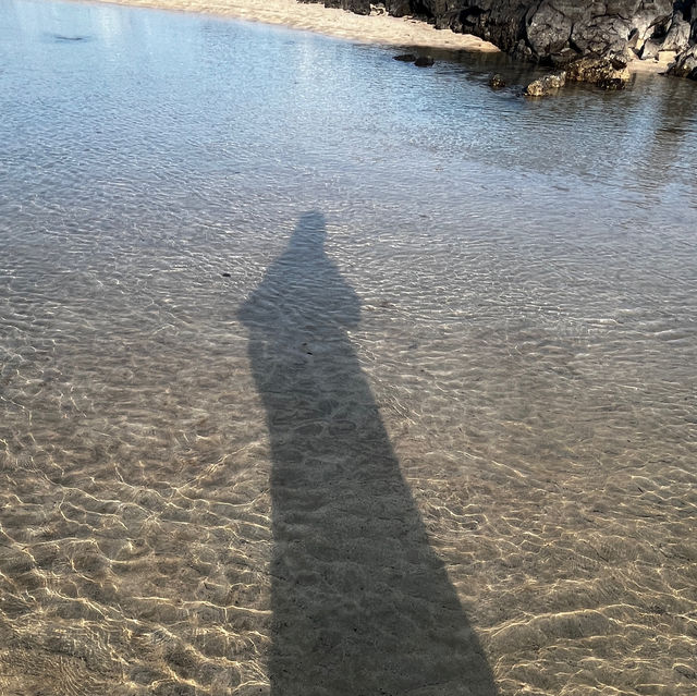 제주도 운치있는 바다 여행 표선해수욕장