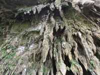 Mulu Caves: Clearwater / Wind Show Caves