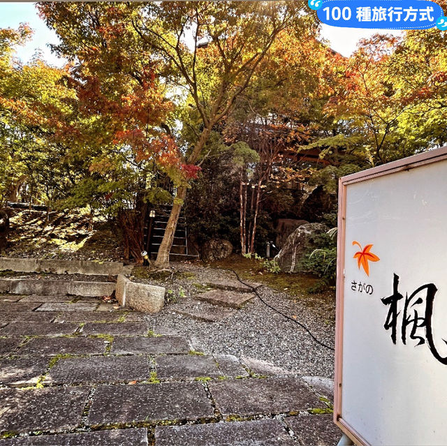 京都秋季賞楓親子遊指南：嵐山，南禪寺等賞楓好去處