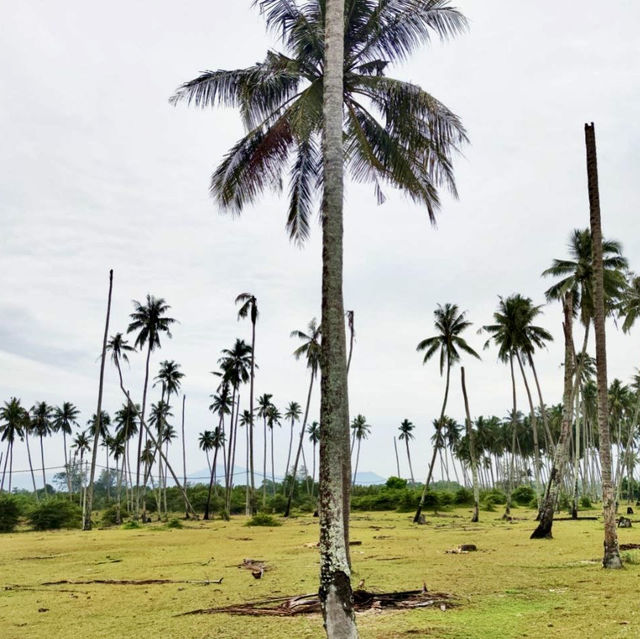 Unwind by the Sea: Kampung Mangkuk’s Peaceful Retreat