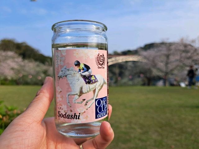 【西海橋公園:長崎県佐世保市】