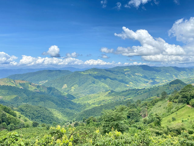 3 ลานกางเต๊นท์วิวหลักล้านที่น่าน🏕️สวยไหน-นอนนั่น 
