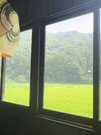 【大分グルメ】田園地帯にある穴場の豆腐料理屋さん✨
