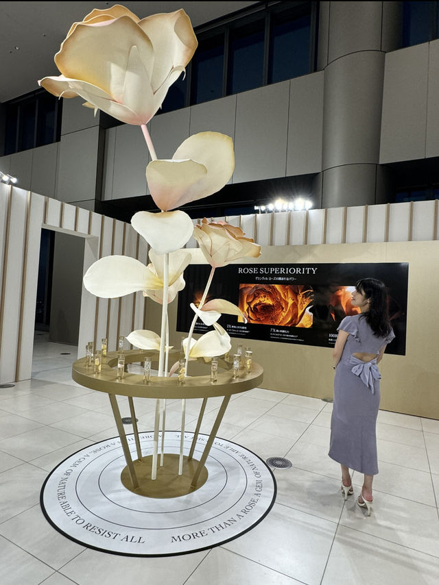 〜東京都〜可愛すぎるdiorポップ展