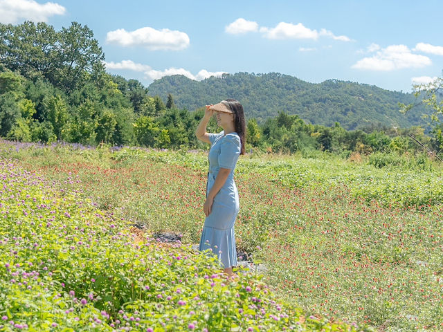 나리공원