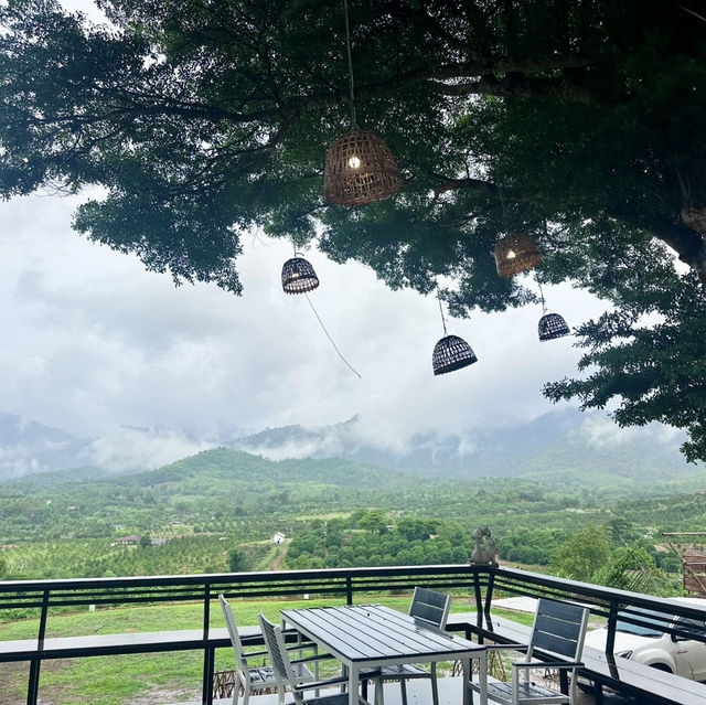 catch the moon camping and bar