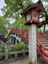 【福岡観光】124年ぶりの大改修✨️森の仮殿🌳