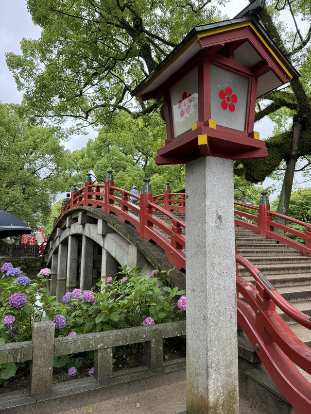 【福岡観光】124年ぶりの大改修✨️森の仮殿🌳