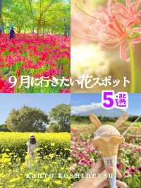 9月に行きたい花スポット5選【関東】MAPつき