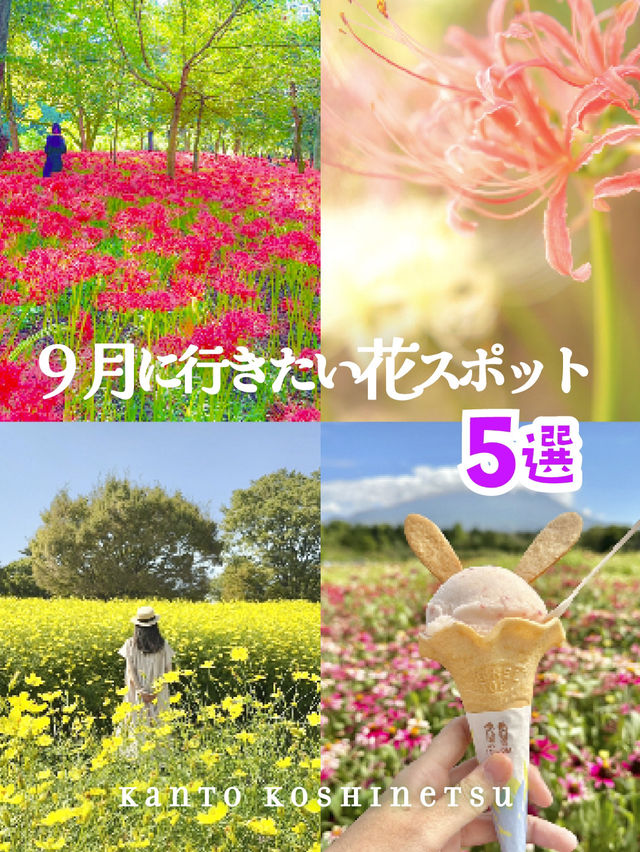 9月に行きたい花スポット5選【関東】MAPつき