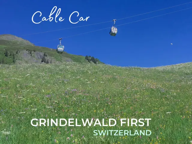 พาขึ้นยอดเขา🏔️ Grindelwald First 