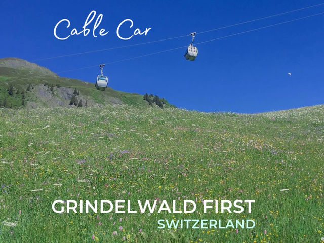 พาขึ้นยอดเขา🏔️ Grindelwald First 