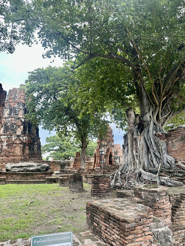 วัดมหาธาตุ พระนครศรีอยุธยา🙏🏻
