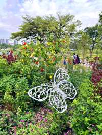 Edible Flower Garden in the Newly Renovated Chinese Garden