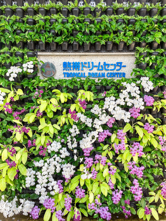 【沖縄】本部町  年間を通して亜熱帯の花々や植物を楽しめる植物園