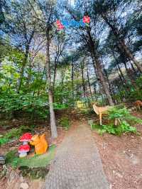 🇰🇷 Gamaksan Entrance is a photo spot 