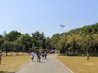 深圳｜週末去遠一點的地方逛逛、放風箏