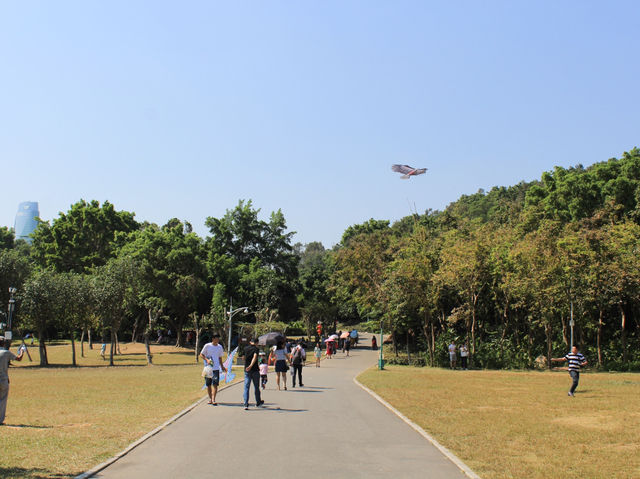 深圳｜週末去遠一點的地方逛逛、放風箏
