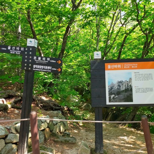 【江原道】初心者にも登りやすいオススメの絶景登山！