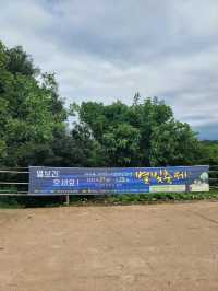 가을여행지 추천 별 볼일 있는 연천 당포성💛
