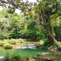 น้ำตก