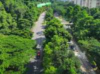 Urban Symphony from Henderson Waves