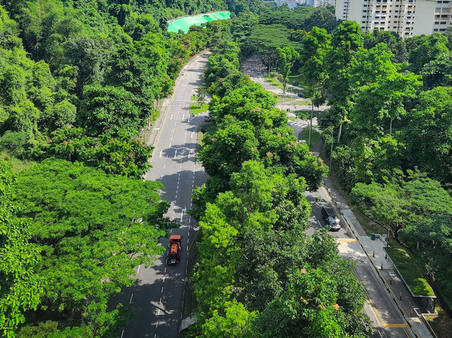 Urban Symphony from Henderson Waves