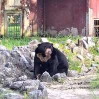 สวนสัตว์เปิดท่าลาด  จ.นครศรีธรรมราช 🐻