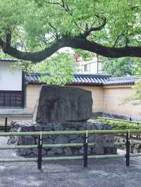 ✈️日本京都金碧輝煌寺廟參觀🤎